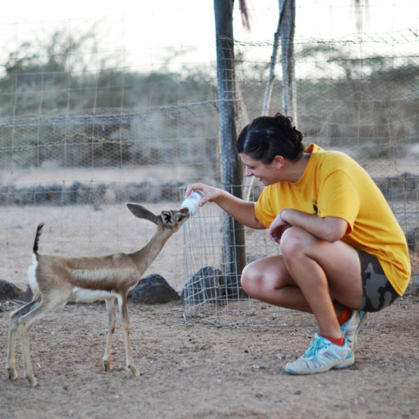 decan refuge gazelle